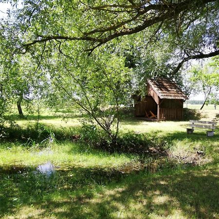 Ubytovani Se Zviratky Jílovice Buitenkant foto