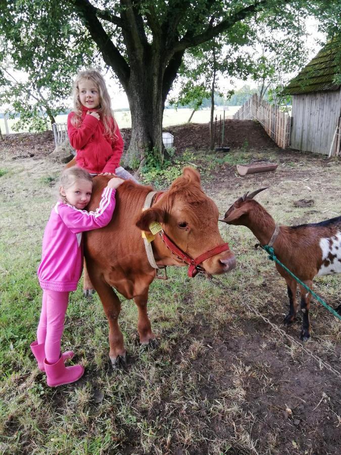 Ubytovani Se Zviratky Jílovice Buitenkant foto