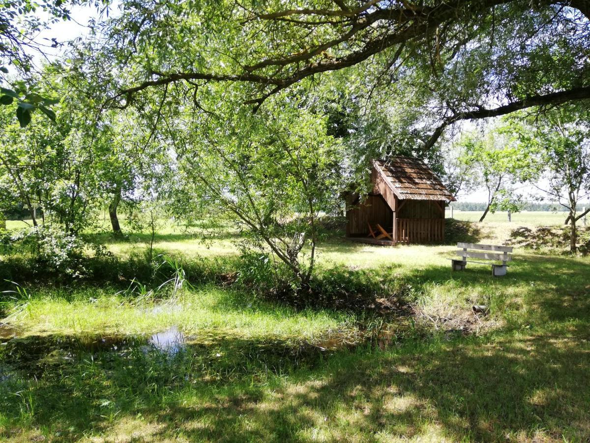 Ubytovani Se Zviratky Jílovice Buitenkant foto