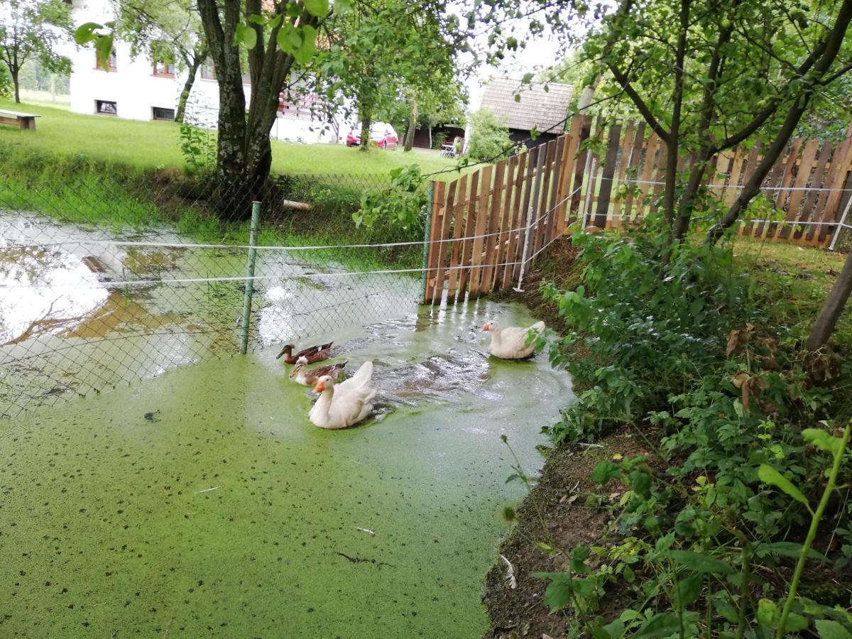 Ubytovani Se Zviratky Jílovice Buitenkant foto